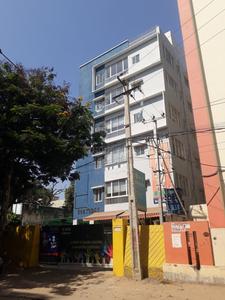 Vijaya Nagar Colony Schools/Universities 2
