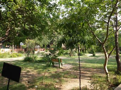 Janakpuri Locality Images 4