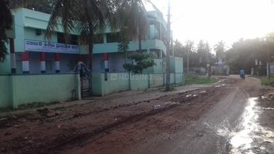 Doddabidrakallu Schools/Universities 1