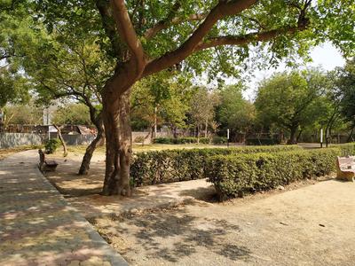 Ber Sarai Parks 1