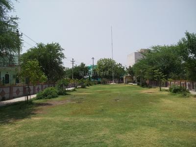 Chhawla Parks 1