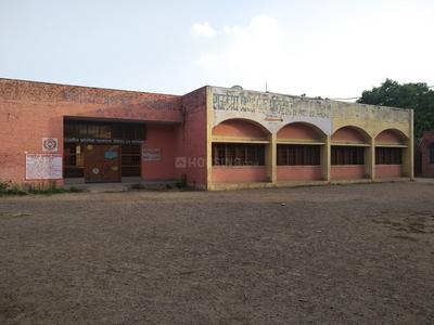 Sector 29 Schools/Universities 1