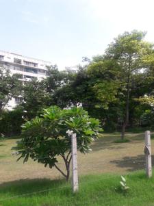 Sector 49 Parks 1