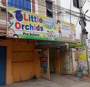 Kanchan Bagh Schools/Universities 1