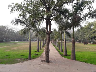 Sector 34 Parks 2