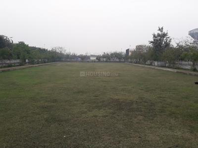 Sector Xu 2 Greater Noida Parks 1