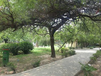 Dilshad Garden Parks 1