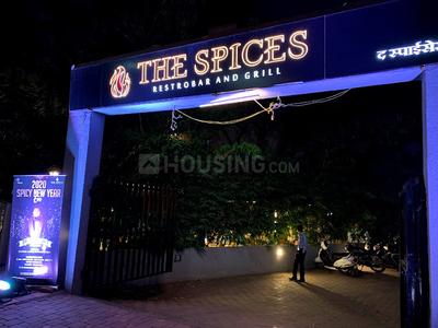 The Spices