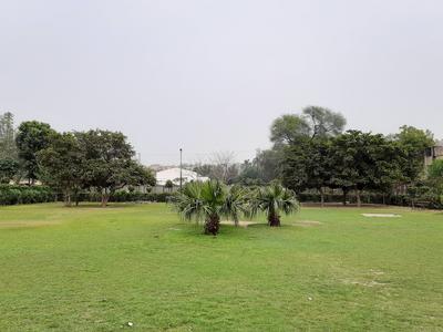 Shakur Basti Parks 1