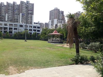 Sector 46 Parks 1