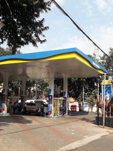 Beniatola Petrol Pumps 1