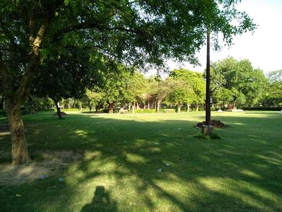 Tikona park