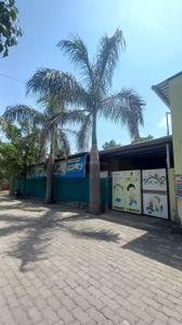 Ravet Locality Images 3