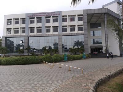 Manjari Budruk Schools/Universities 2