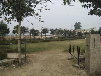 Sector 167 Parks 1