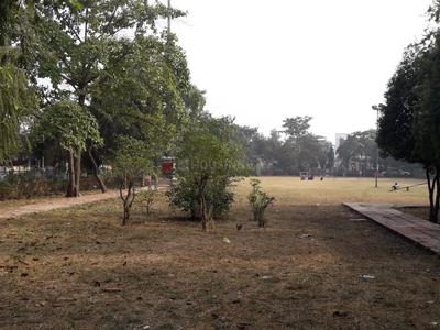 Phi III Parks 2