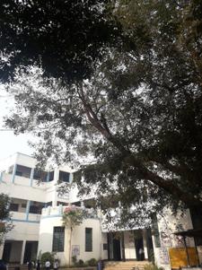 Bhadreswar Schools/Universities 1