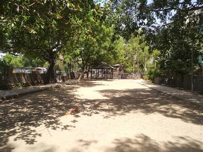 Sangam Vihar Parks 1
