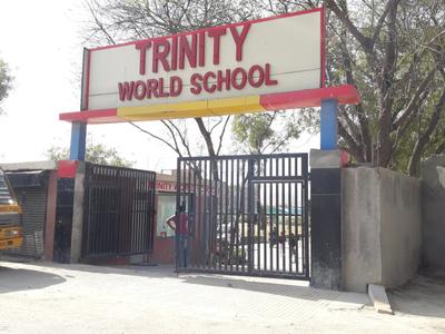 Trinity World School