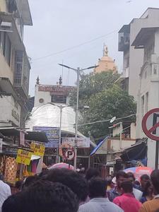 Cumballa Hill Locality Images 5
