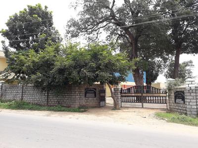 Bettadasanapura Schools/Universities 1