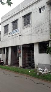 Duillya Schools/Universities 3