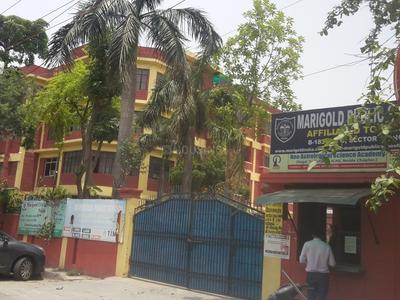 Sector 19 Schools/Universities 1