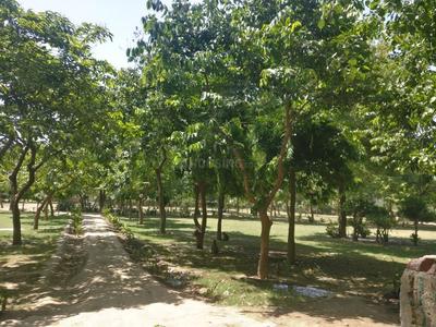 Behta Hazipur Parks 1