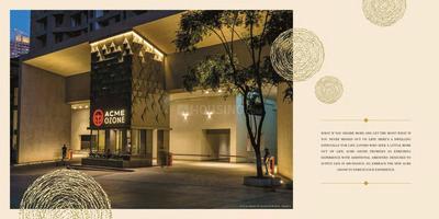 ACME Eucalyptia Brochure 2