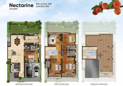 NVT Symphony Of Orchards Brochure 11