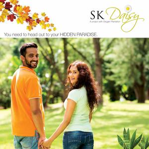 SK Daisy Brochure 1