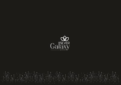 Silver Galaxy Brochure 1