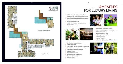 Malabar Silver Linden Brochure 11