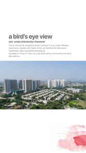 Canvas Brochure 61