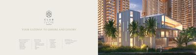 Ivory County Phase 1 Brochure 12