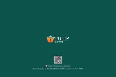 Tulip Infinity Planet A Wing Brochure 1