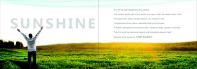 Tirath Sunshine Brochure 2