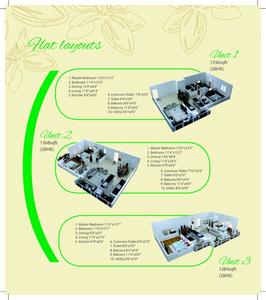 MSR Daffodils Brochure 8