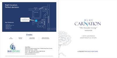 Blue Carnation Brochure 1