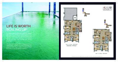 Malabar Silver Linden Brochure 6