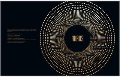 PS Aurus Brochure 11