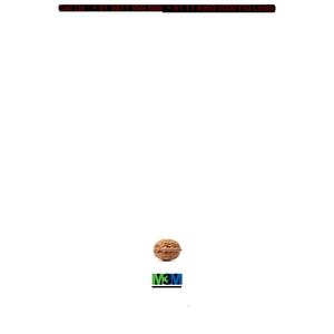 M3M Urbana Business Park Brochure 1