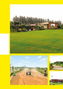 Image of 162 Sq.ft Residential Plot / Land for sale in Nine O Nine Sportsland Activity Farms, Sector 151, Noida for Rs. 32500000