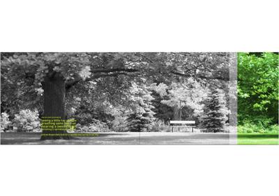 DMD Spring Valley Brochure 6