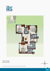 Crescent Iris Brochure 19