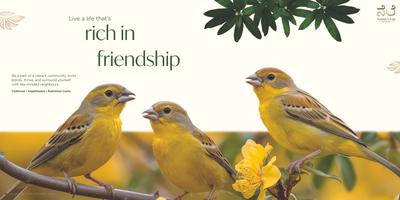 5 Elements Natures Lap Brochure 9