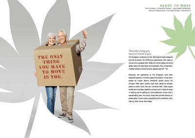Adani The Evergreen Brochure 13