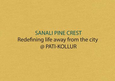 Pine Crest Brochure 2
