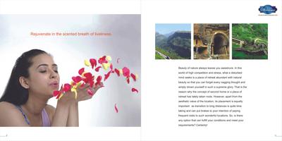 Top Five Silver Streams Brochure 2