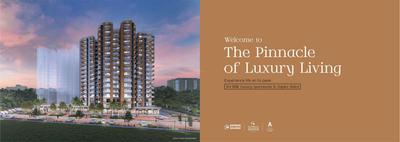 Express Zenith Brochure 2